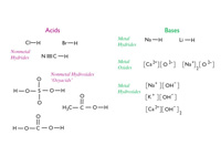 Acids & bases examples.
