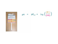 pH indicators.