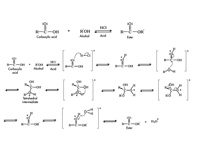 Fischer Esterification
  