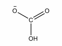 Structure of bicarbonate