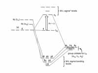 Ligand-Field scheme summarizing ?-bon...