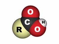 Carboxyl group space filling