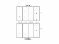Schematic of an HNCA and HNCOCA for f...