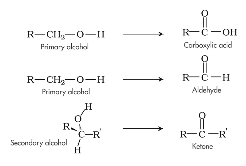 Oxidation of alcohols.