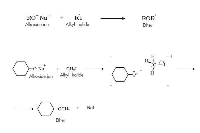 Williamson ether synthesis.