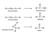 Oxidation of alcohols.