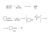 Williamson ether synthesis.