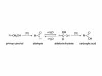 Oxidation of primary alcohol to carbo...