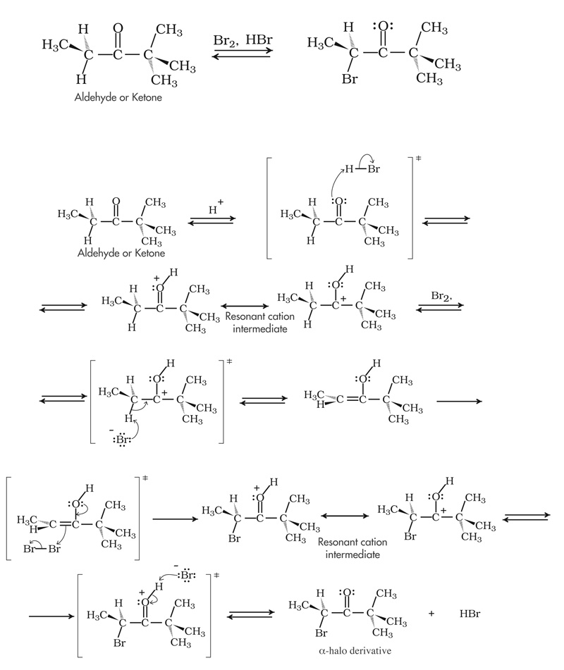 Alpha halogenation