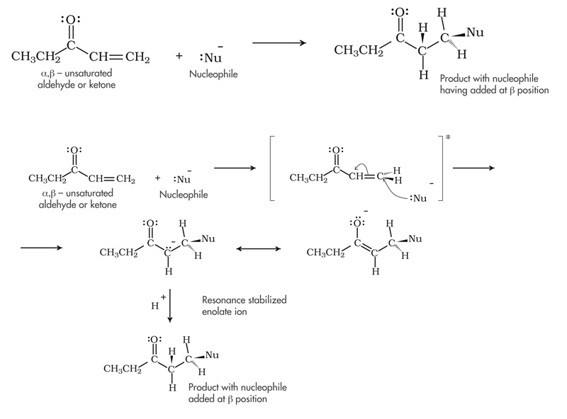 Conjugate nucleophilic addition