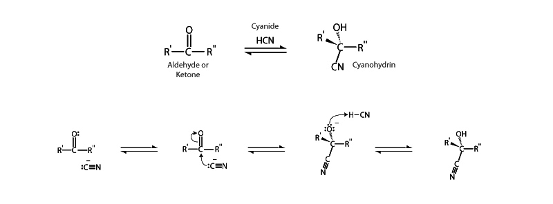 Cyanohydrin formation