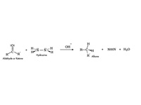 The Wolff-Kishner Reaction
 