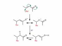 Conjugate Addition mechanism