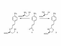 Example of alkylimino-de-oxo-bisubsti...