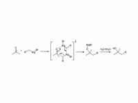 Transition state in Grignard reaction...