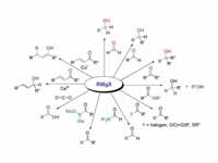 Reaction of Grignard reagents with a ...