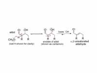 Enol aldol base catalyzed dehydration...