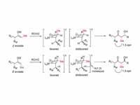 In the case of an E enolate, the domi...