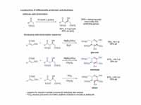 macmillan sugar synthesis using diast...