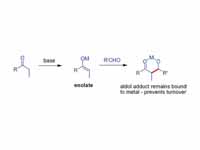 Direct aldol addition generates an al...