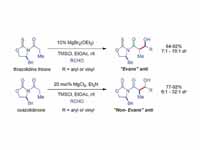 Solution of Evans of direct addition ...