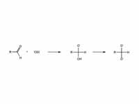 1st Step in the Cannizzaro reaction