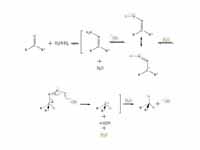 Probable mechanism of Wolff-Kishner r...