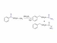 Willgerodt Reaction