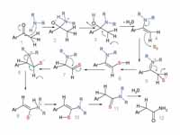 Willgerodt Reaction Mechanism