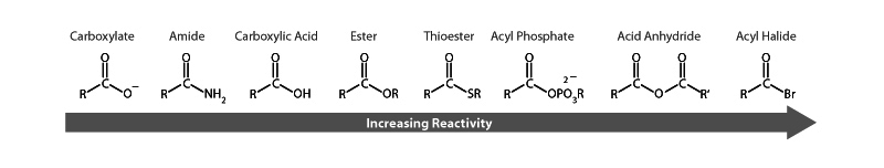 Hydrolysis of ester - saponification ...
