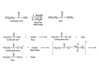 Use of Carboxylate Anion Nucleophile ...