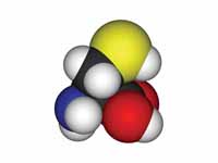 L-cysteine - space filling model