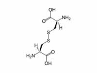 Cystine, showing disulfide bond