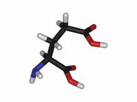 L-glutamic acid - stick model