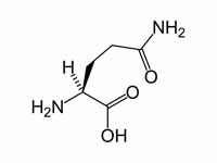 L-glutamine