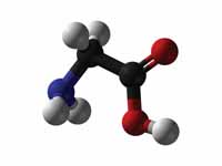 Glycine - ball and stick model