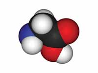 Glycine - space filling model