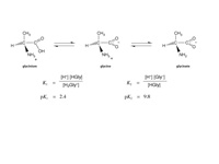 Amino acid glycinate.