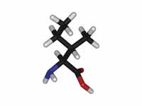 L-isoleucine - stick model