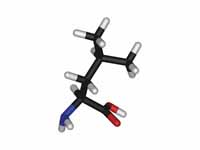 L-leucine - stick model