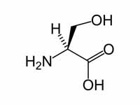 L-serine