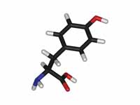 L-tyrosine - stick model