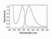 Absorbance and fluorescence of tyrosi...