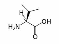 L-valine