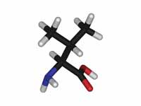 L-valine - stick model