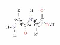 Bond angles for ? and ?