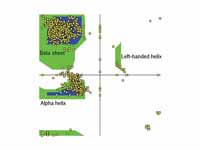 A Ramachandran plot generated from th...
