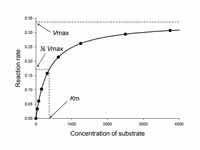 Saturation curve for an enzyme reacti...