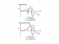 The different mechanisms of substrate...