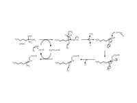 Chemical mechanism for irreversible i...